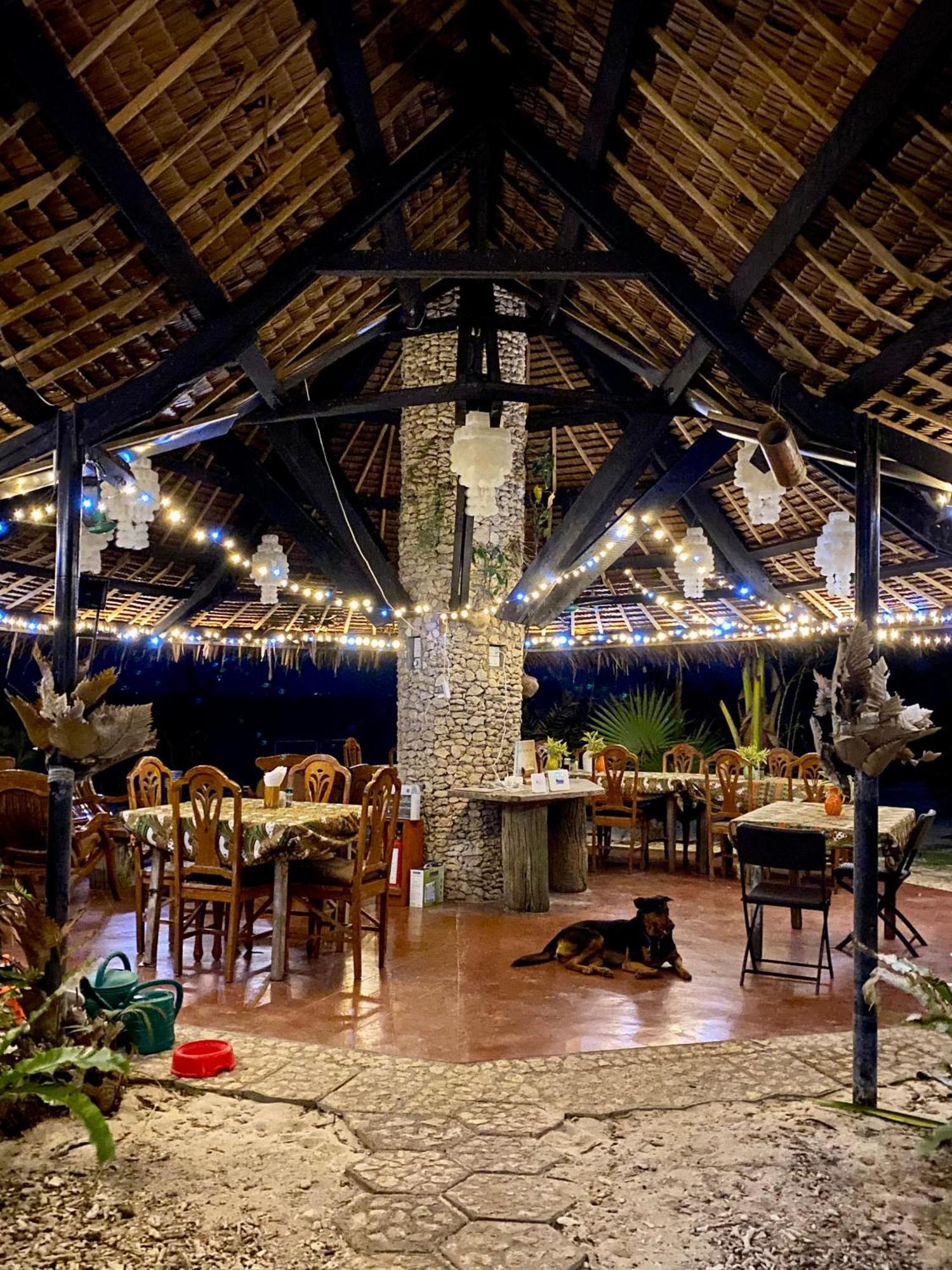 Ravenala Beach Bungalows Moalboal Bagian luar foto